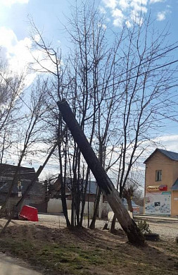 Упавшее дерево может оборвать электрические провода